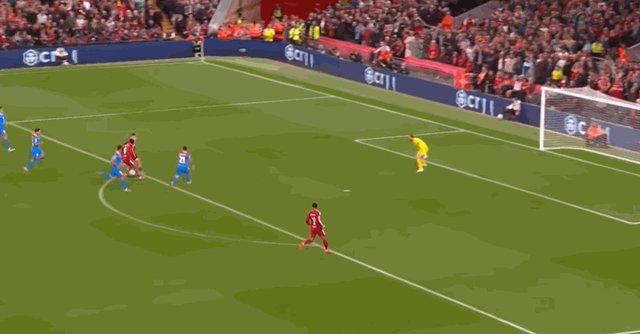 哈克波, cj 哈克波, cj