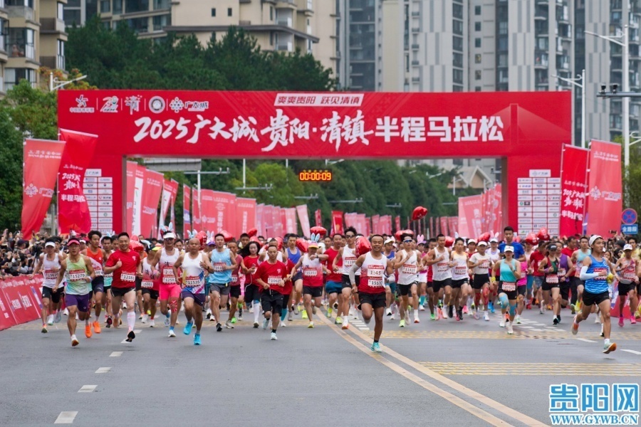 介了红枫湖, 利剑玫瑰